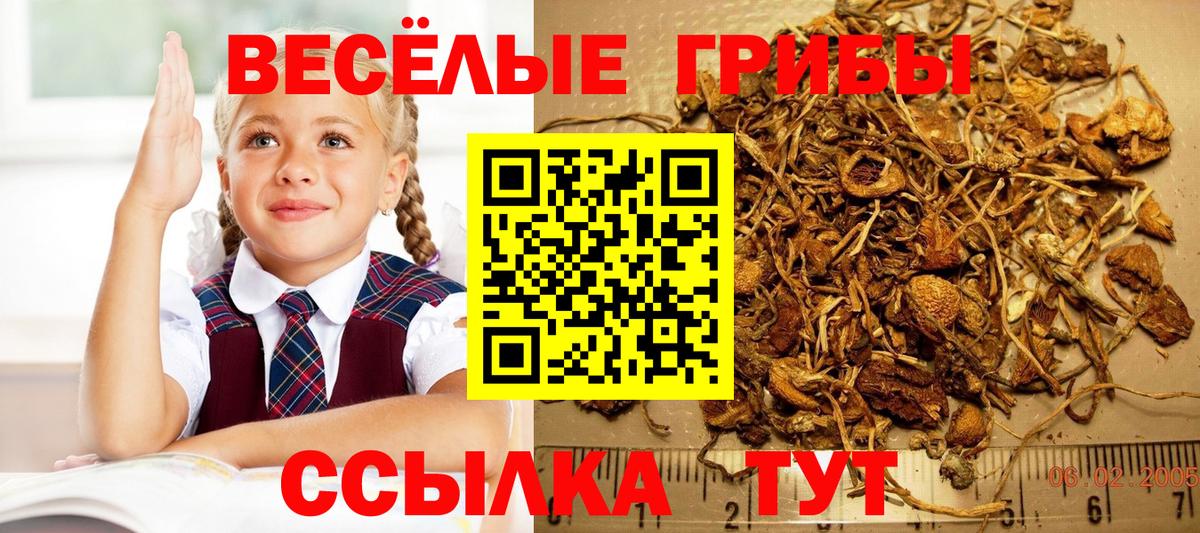 Галлюциногенные грибы GOLDEN TEACHER Мирный