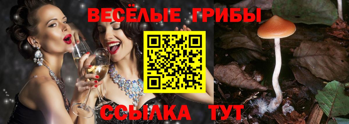 Мирный  где купить наркотик  Вход с VPN  Псилоцибиновые грибы MAGIC MUSHROOMS 